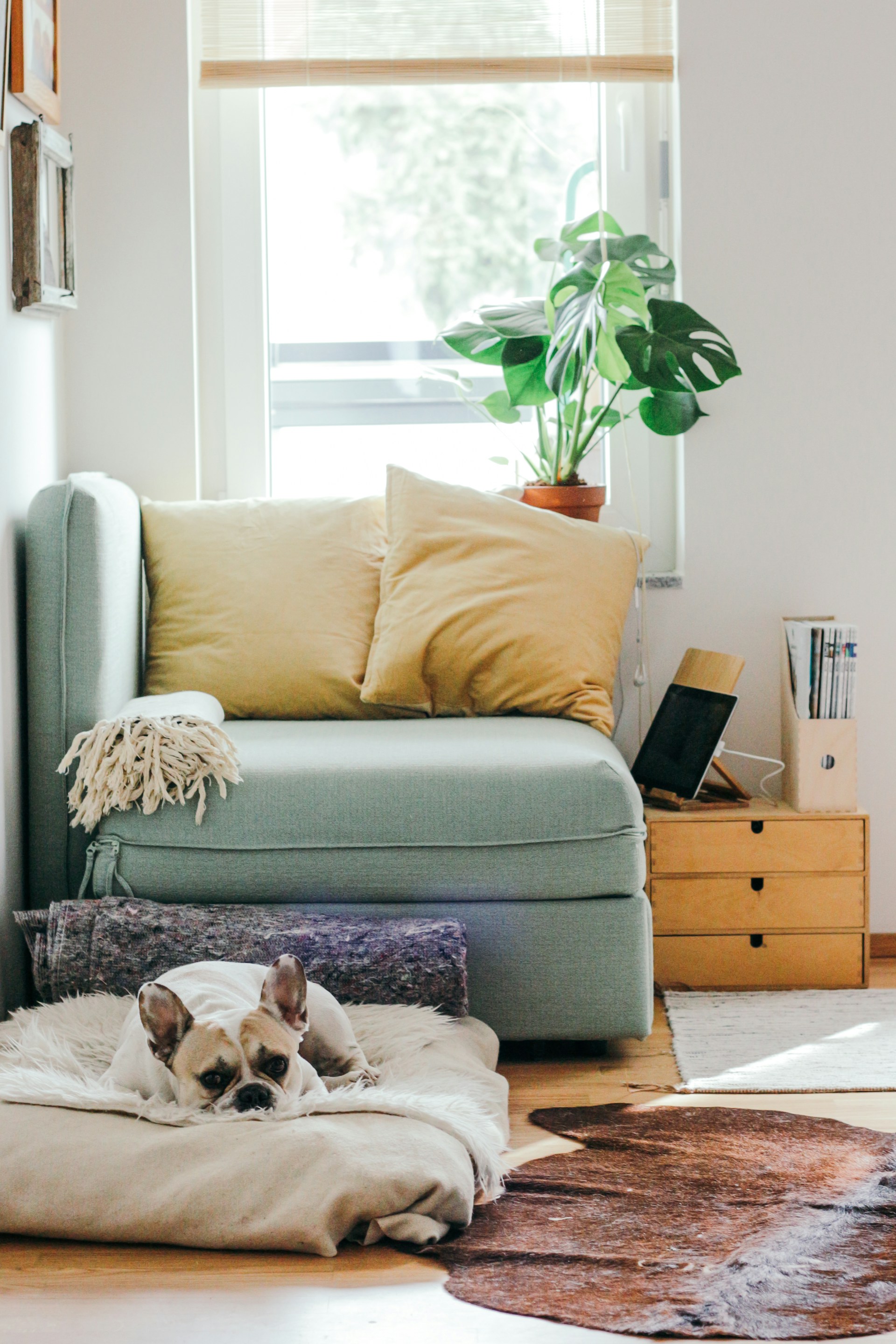 Cozy nook